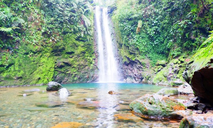 Curug Ngumpet, Wisata Air Terjun Eksotis Nan Indah di Bogor