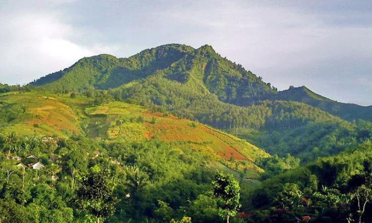 Gunung Manglayang, Spot Camping Seru dengan Panorama Alam Memukau di Jawa Barat