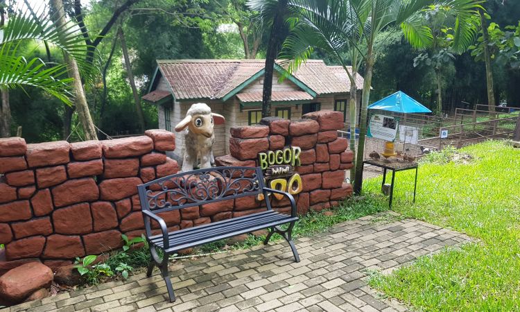 Bogor Mini Zoo, Wisata Kebun Binatang yang Dilengkapi Beragam Wahana Permainan