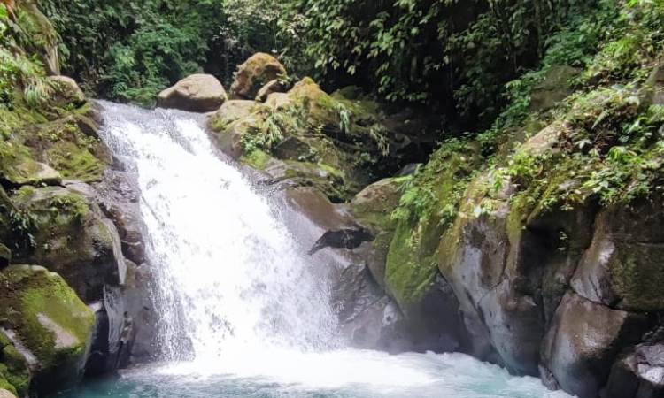 Daya Tarik Curug Naga