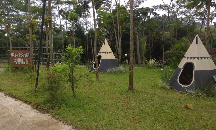 Fasilitas Di Bogor Mini Zoo