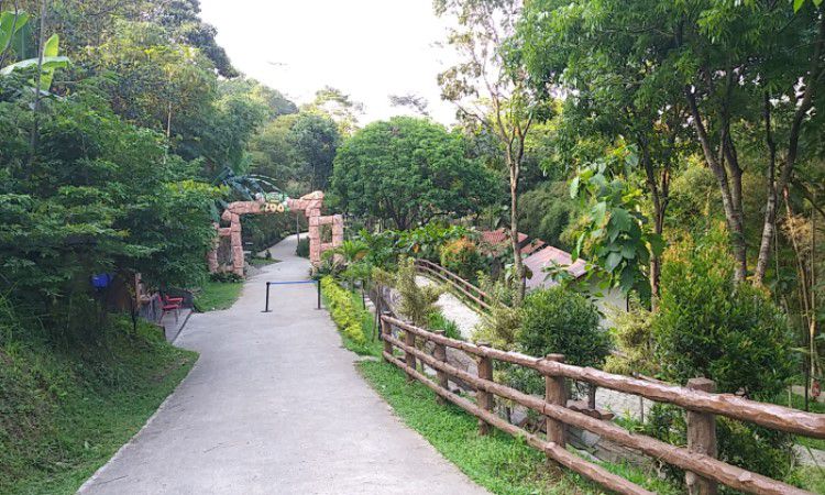Tiket Masuk Di Bogor Mini Zoo