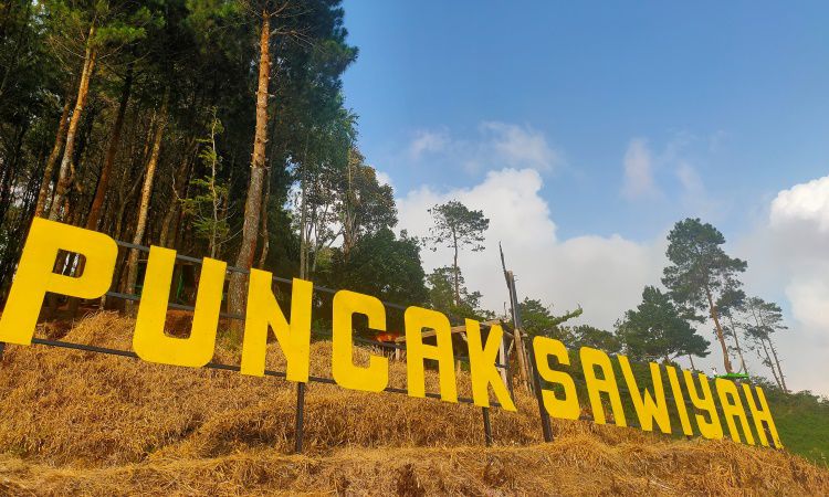 Puncak Sawiyah, Menikmati Panorama Alam Eksotis dari Ketinggian di Majalengka
