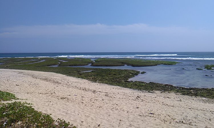 Daya Tarik Pantai Karang Papak