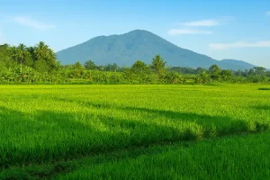 Fakta Menarik Gunung Karang, Gunung Tertinggi di Banten dengan Pesona Alam & Mitos Legendaris