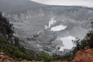 Daya Tarik Wisata Upas Hills