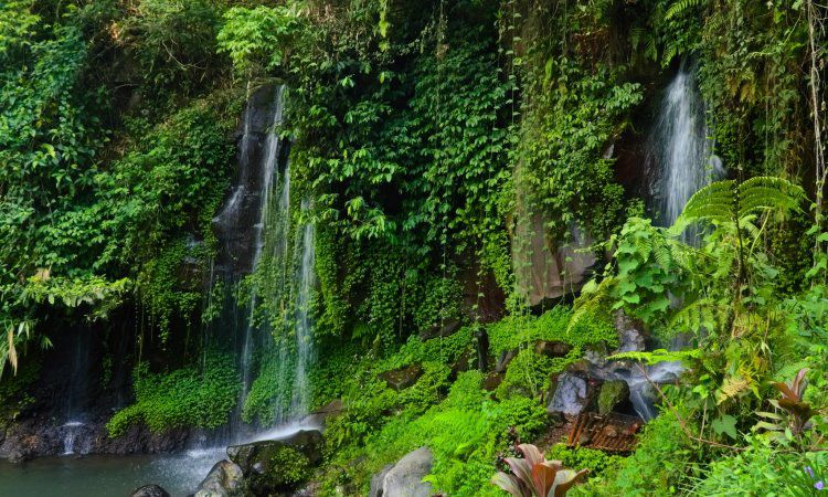 Curug Putri Pelangi, Panorama Dua Air Terjun dengan Lanskap Alam Indah di Bogor