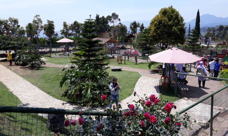 Taman Kelinci Ciwidey, Destinasi Wisata Edukasi Favorit di Bandung