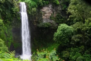 Shutterstock Penginapan Curug Cimahi