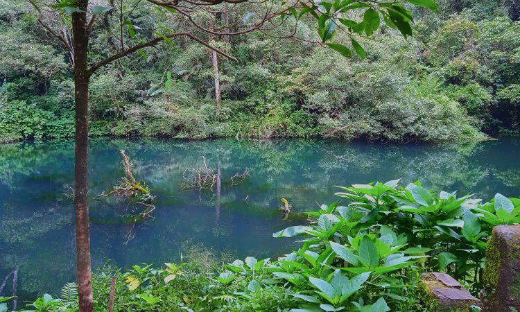12 Tempat Wisata di Cibodas Cianjur Terbaru, Populer & Hits Buat Liburan
