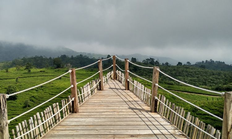 Teras Bintang Ciwidey, Destinasi Wisata Alam Hits di Bandung