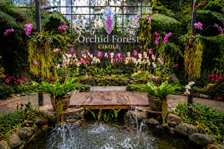 Tempat Wisata di Bandung Barat Orchid Forest Cikole