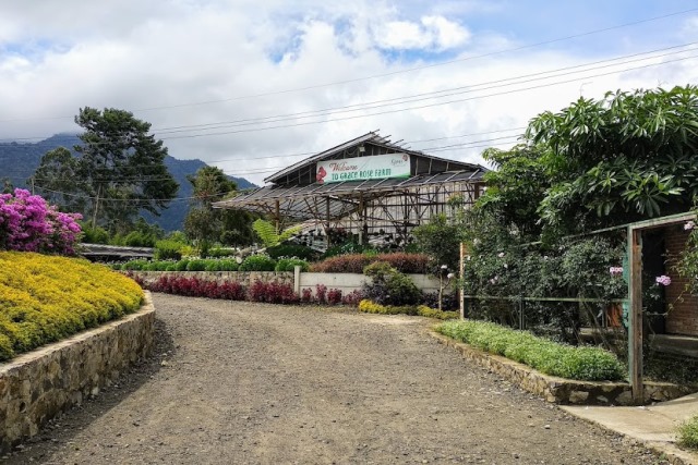 Grace Rose Farm Bandung