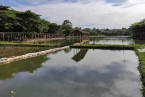 Daya Tarik Wisata Pemancingan Cinangka Indah