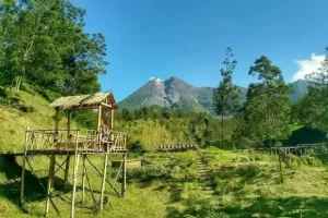 Daya Tarik Ekowisata Kali Talang