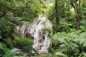 Daya Tarik Wisata Air Terjun Panas Cibodas