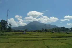 Daya Tarik Wisata Gunung Tampomas