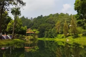 Daya Tarik Mandalawangi Nature Camp