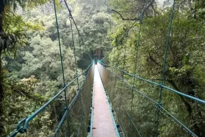 Daya Tarik Wisata Canopy Trail Ciwalen