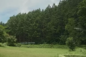 Daya Tarik Alam Pangjugjugan