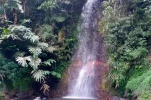 Daya Tarik Wisata Curug Cihanyawar