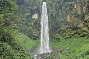 Daya Tarik Wisata Air Terjun Grojogan Sewu