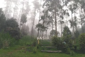 Daya Tarik Kampung Pasir Ipis
