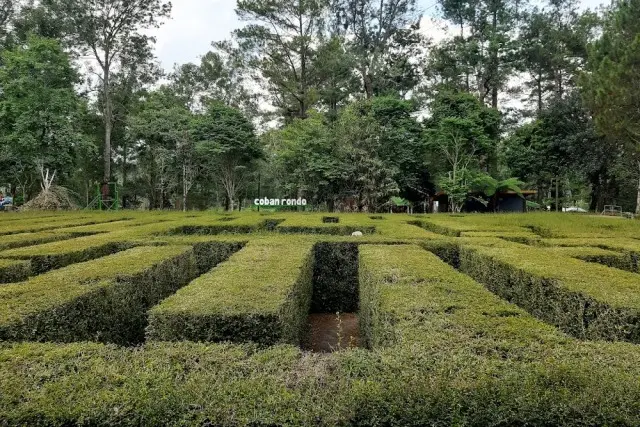 Taman Labirin Coban Rondo, Wisata Outdoor dengan Labirin Tanaman yang ...