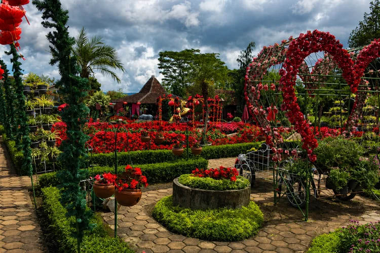 Aktivitas Kebun Begonia Lembang