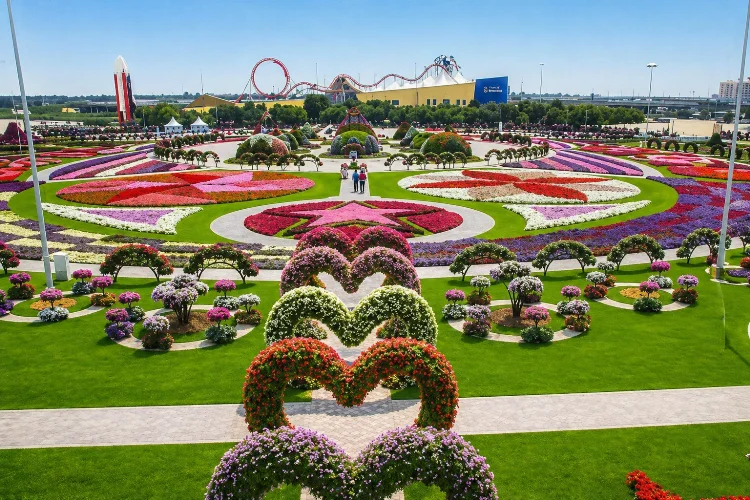Daya Tarik Kebun Begonia Lembang