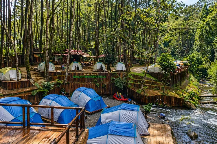 Hutan Pinus Rahong