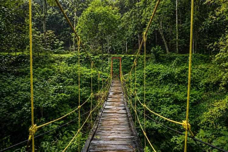 Taman Hutan Raya Ir. H. Djuanda