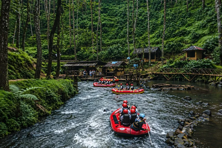 Rafting Hutan Pinus Rahong