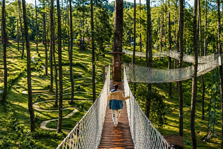Trekking Hutan Pinus Cikole